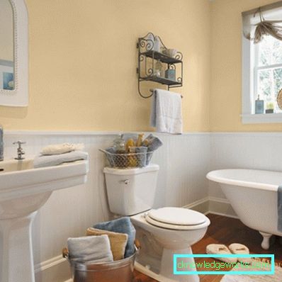 Oslikano kupatilo - razabrati mudro (77 fotografija dizajnerskih ideja)