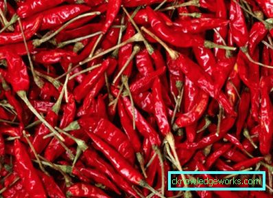 340-Kako uzgajati ljutu papriku