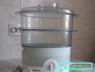 Aparat za parenje Tefal i svi njegovi modeli Aparat za parenje Tefal i svi njegovi modeli