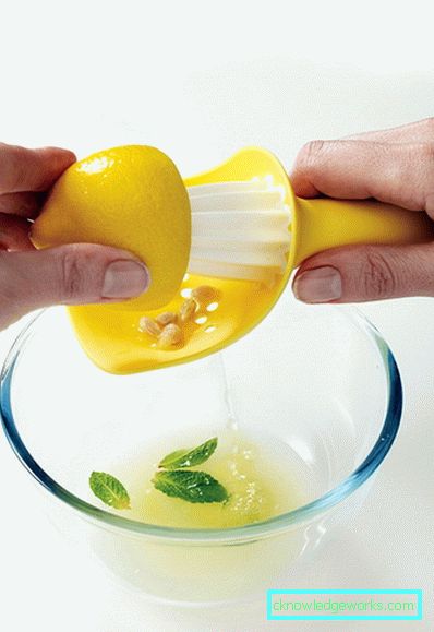 Manual Juicer Manual Juicer