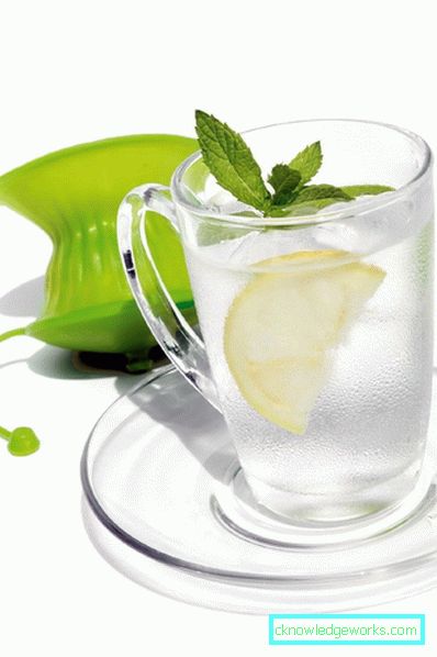 Manual Juicer Manual Juicer