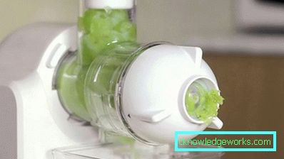 Manual Juicer Manual Juicer
