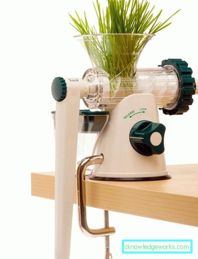 Manual Juicer Manual Juicer